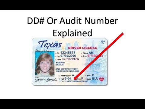audit number on temporary license
